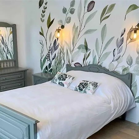 Grande De 8 Avec Balneotherapie- Vill'acacia Villa