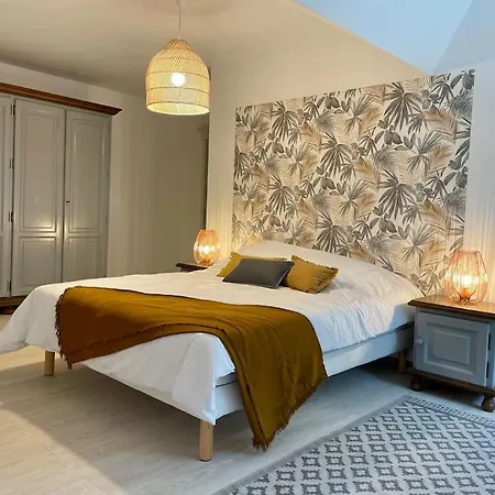 Grande De 8 Avec Balneotherapie- Vill'acacia Villa